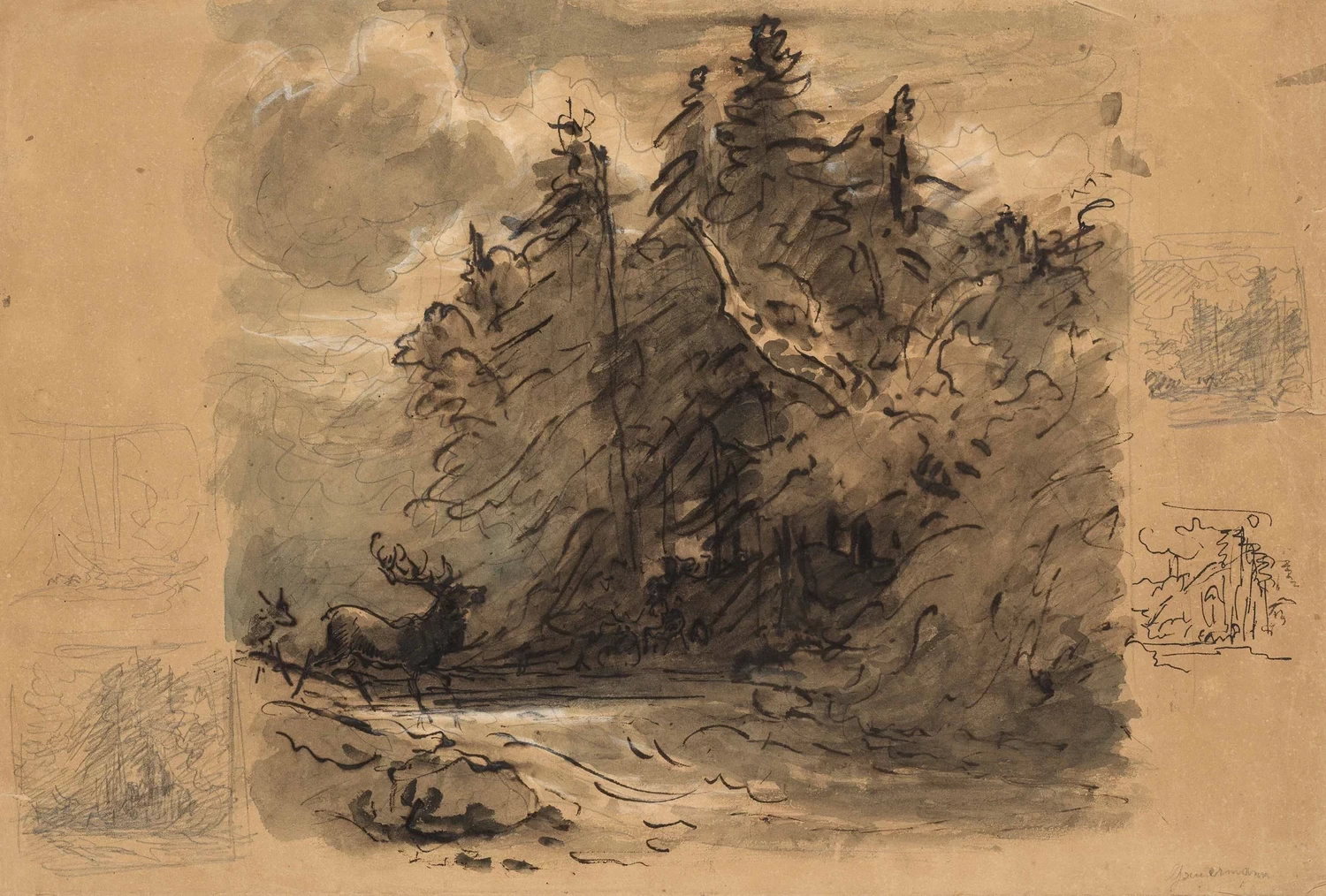 Cervo nella foresta
